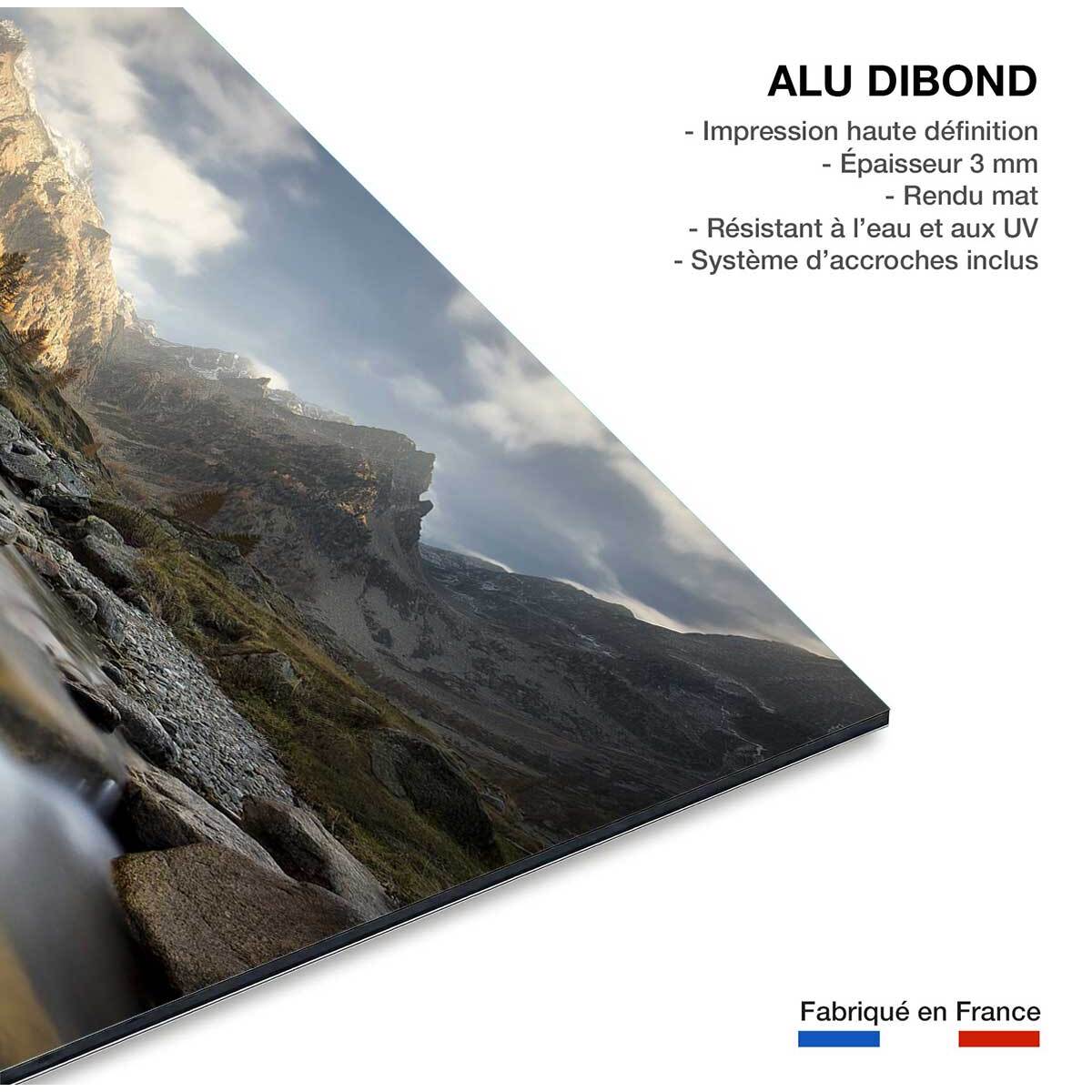 Tableau Rivière des Alpes Tableau alu Dibond