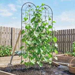 Treillis de jardin effet fer forgé oiseau - 2 supports plantes grimpantes - 50 x 220 cm - métal époxy noir