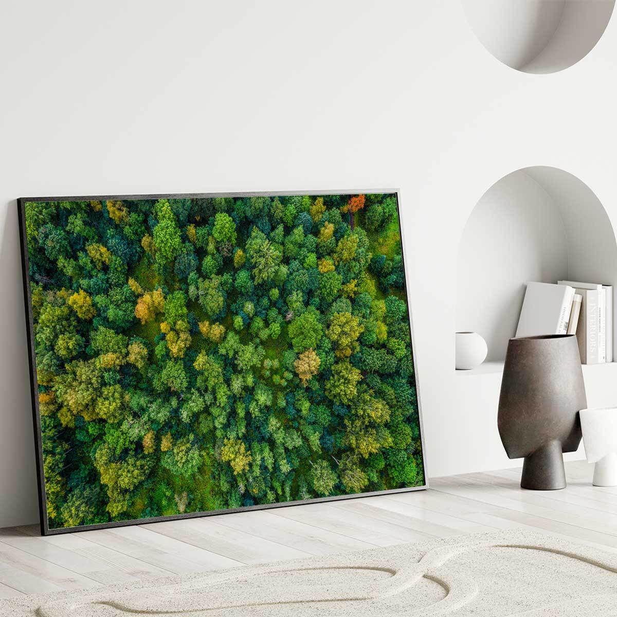 Affiche encadrée – Vue aérienne de forêt luxuriante Affiche + cadre en métal - Noir