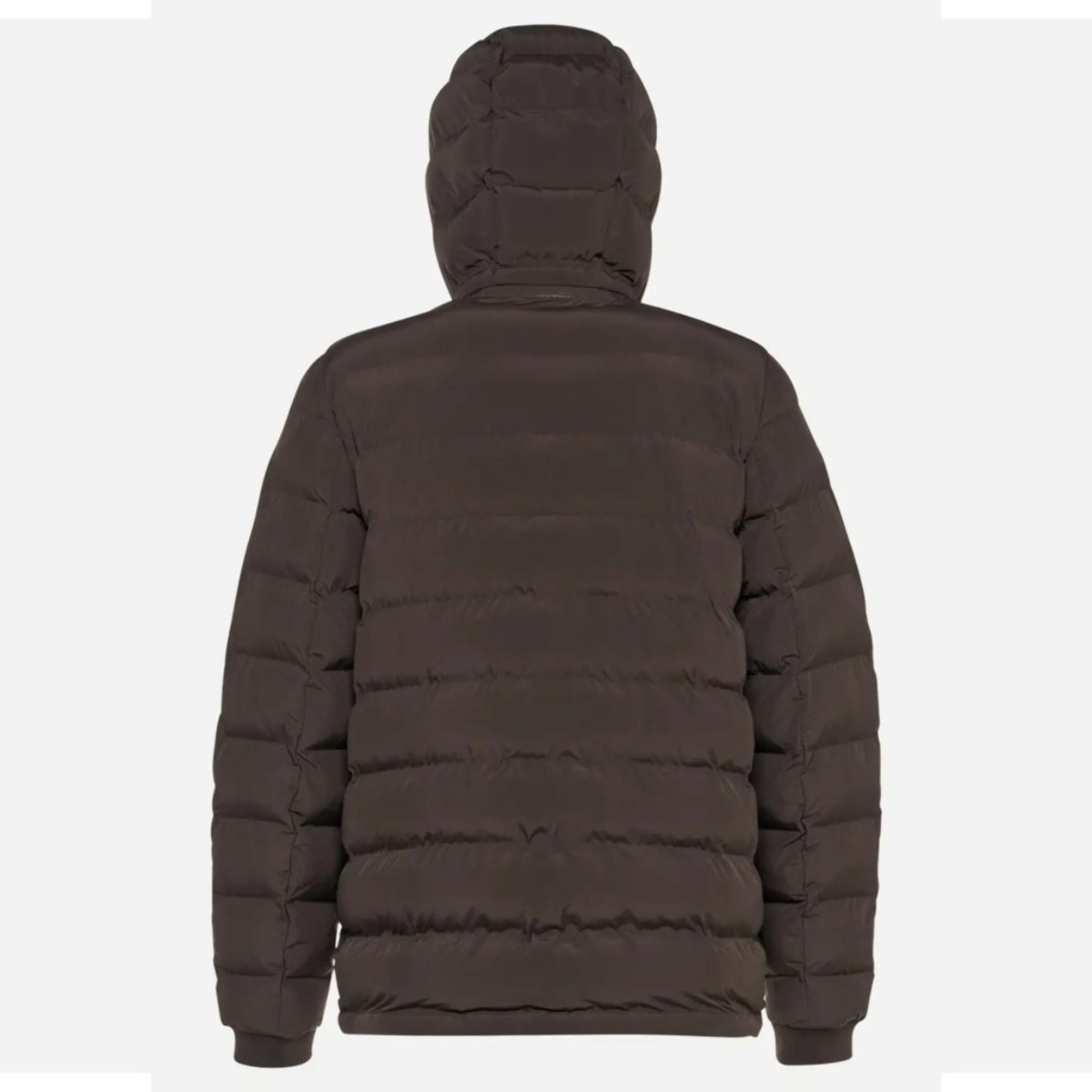 Chaquetas Hombre de la marca GEOX  modelo M SPHERICA MARRON