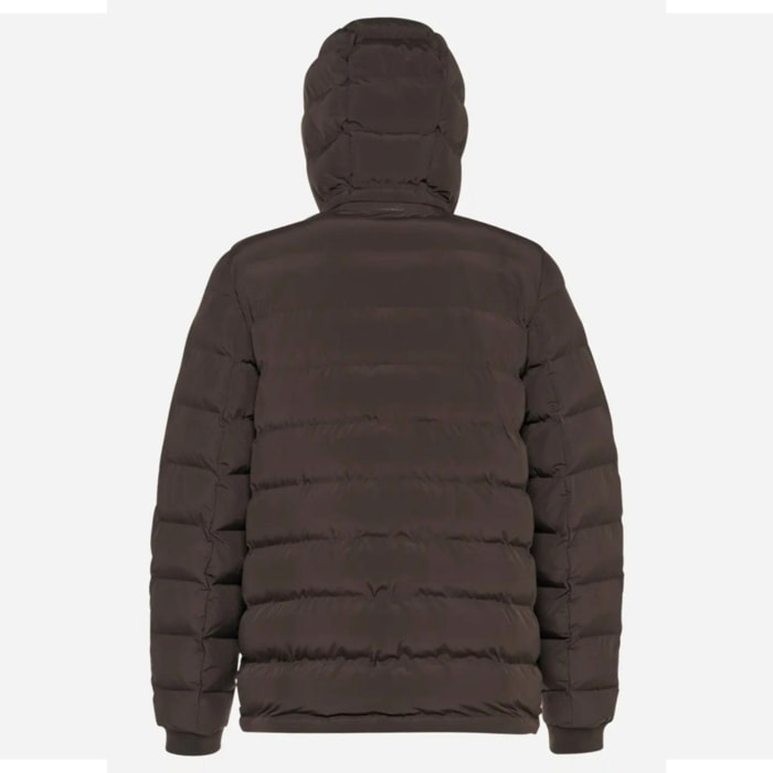 Chaquetas Hombre de la marca GEOX  modelo M SPHERICA MARRON