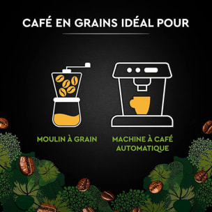 Carte Noire Grains BIO 1KG