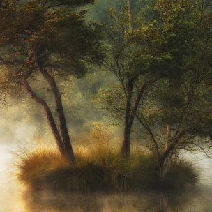 Affiche Ilôt et lac en automne Affiche + cadre en bois - Chêne