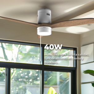 Ventilador de Techo EVVO V553 White – 132 cm, 3 Aspas Blancas, LED 18W con 3 Tonalidades, 6 Velocidades, Temporizador 1-8h, Invierno/Verano, Mando, Motor DC 40W, Kit Incluido