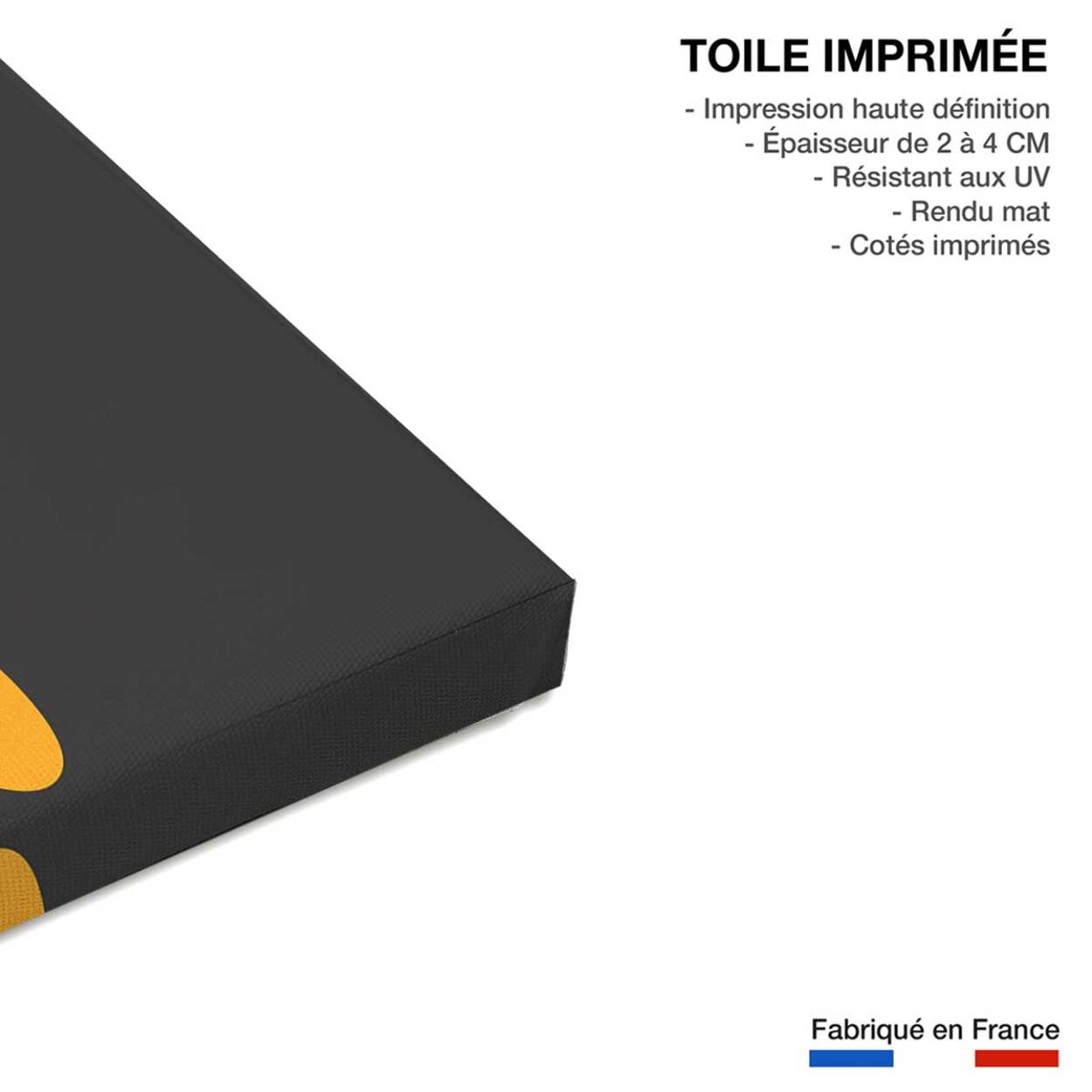 Tableau fleurs colchiques Toile imprimée