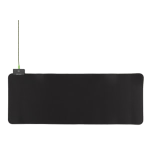 TAPIS DE SOURIS GAMER XL RGB 2 PORTS USB