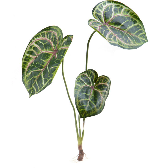 Pianta Di Caladium Con 3 Diramazioni. Altezza 65 Cm - Pezzi 6 - 20X65X18cm - Colore: Verde - Bianchi Dino - Piante Artificiali