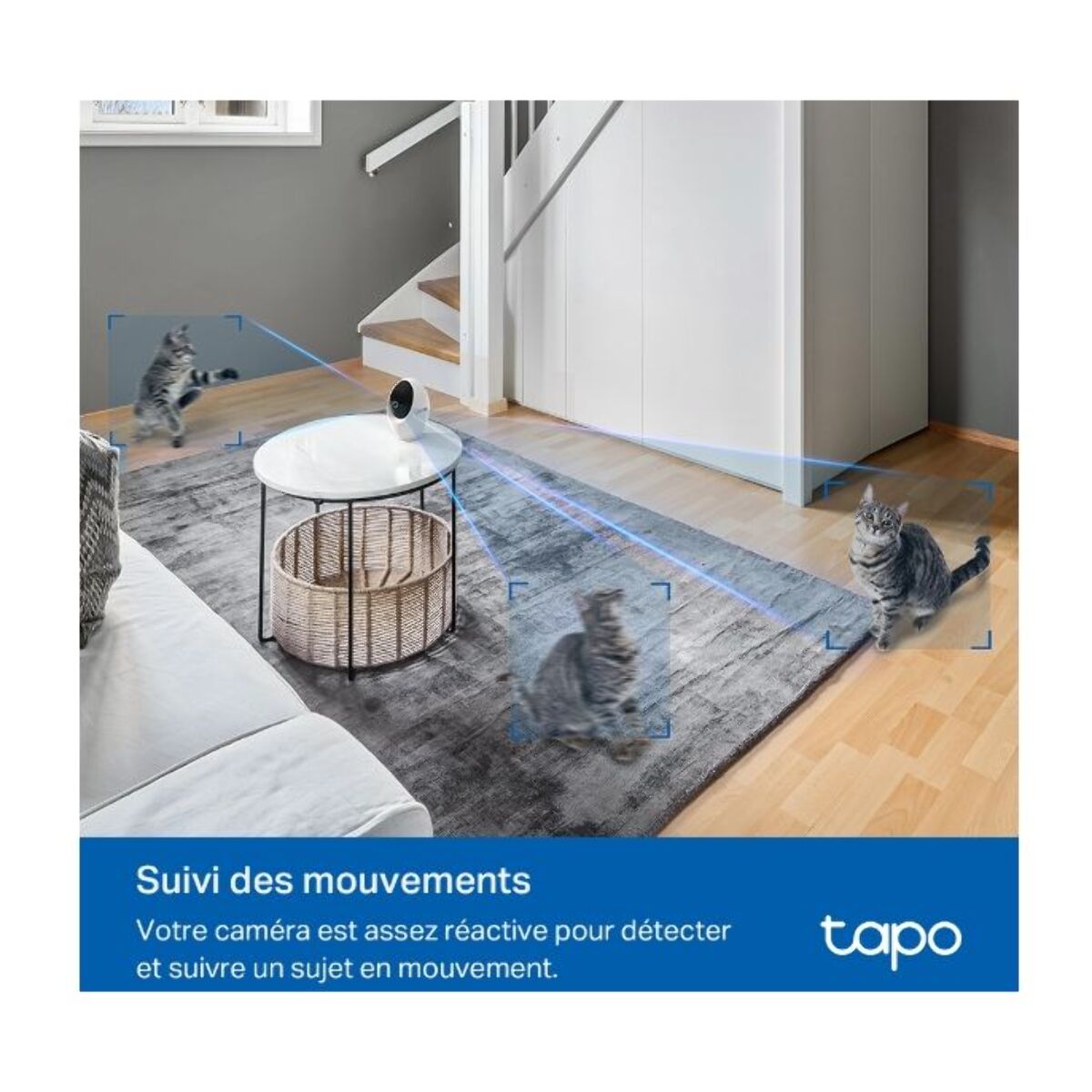 Caméra de surveillance TP-LINK Tapo C260