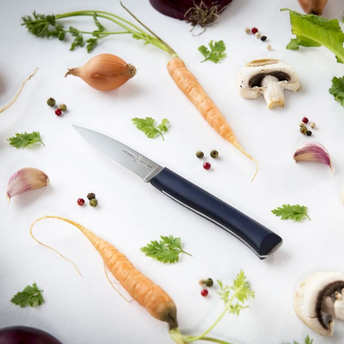 Couteau OPINEL trio intempora No218