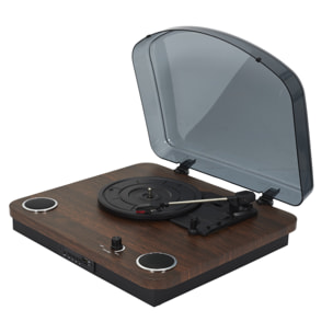 Tourne-disque Enceinte Vinyle