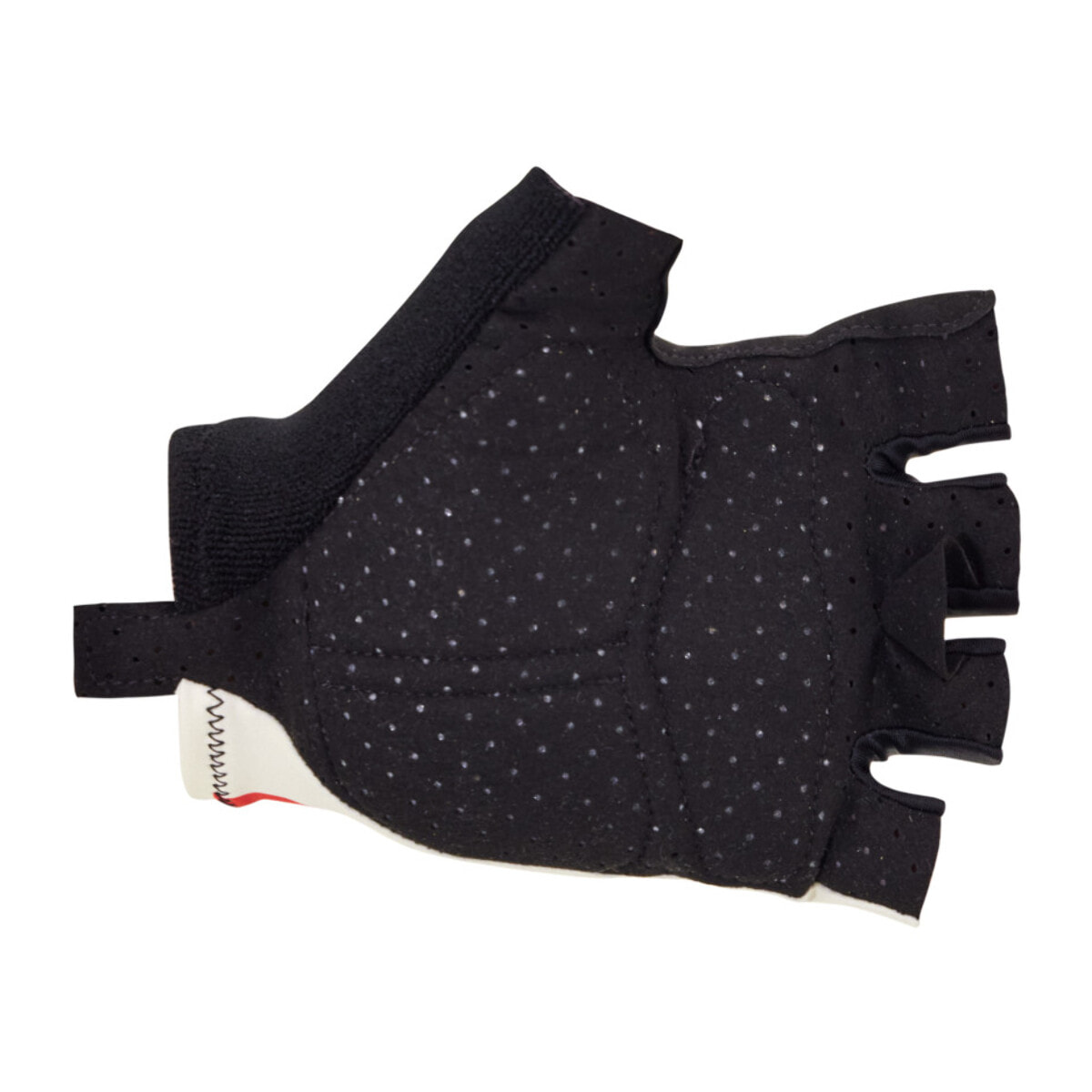 Paris-Roubaix – Gants - Print - Unisex