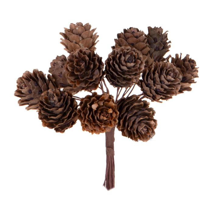 Pick per - Pezzi 24 - 6xH10x5cm - Bianchi Dino SpA