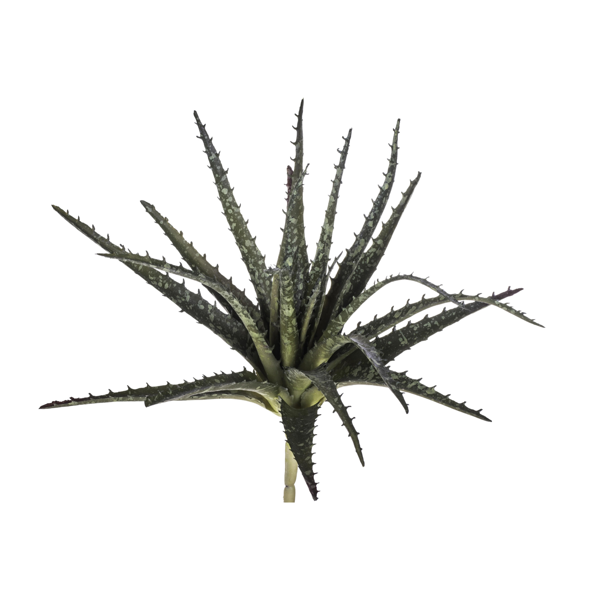 Aloe. Altezza 24 Cm - Pezzi 6 - 27X24X27cm - Colore: Verde - Bianchi Dino - Piante Artificiali