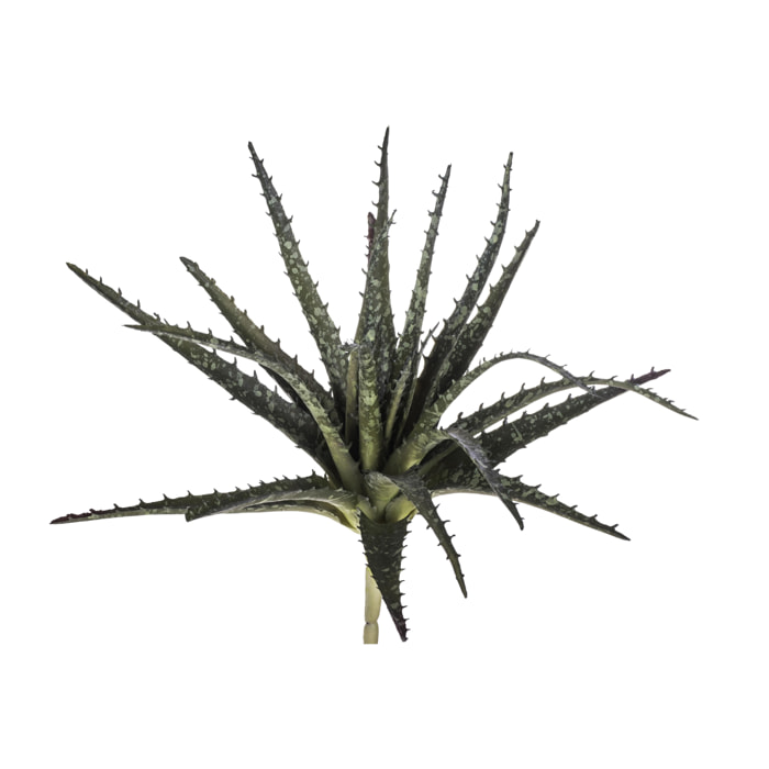 Aloe. Altezza 24 Cm - Pezzi 6 - 27X24X27cm - Colore: Verde - Bianchi Dino - Piante Artificiali