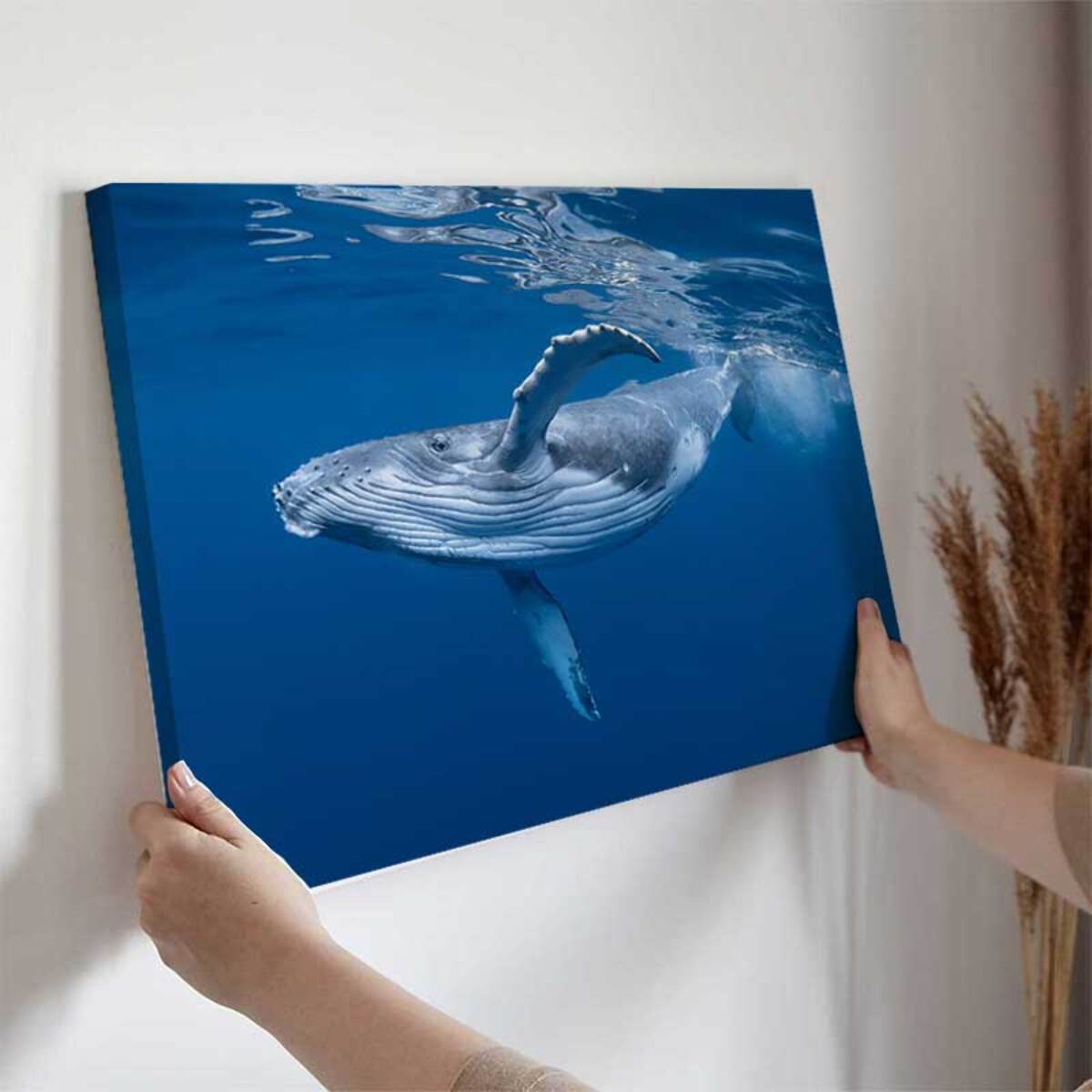 Tableau baleine majestueuse nageant sous l’océan Toile imprimée