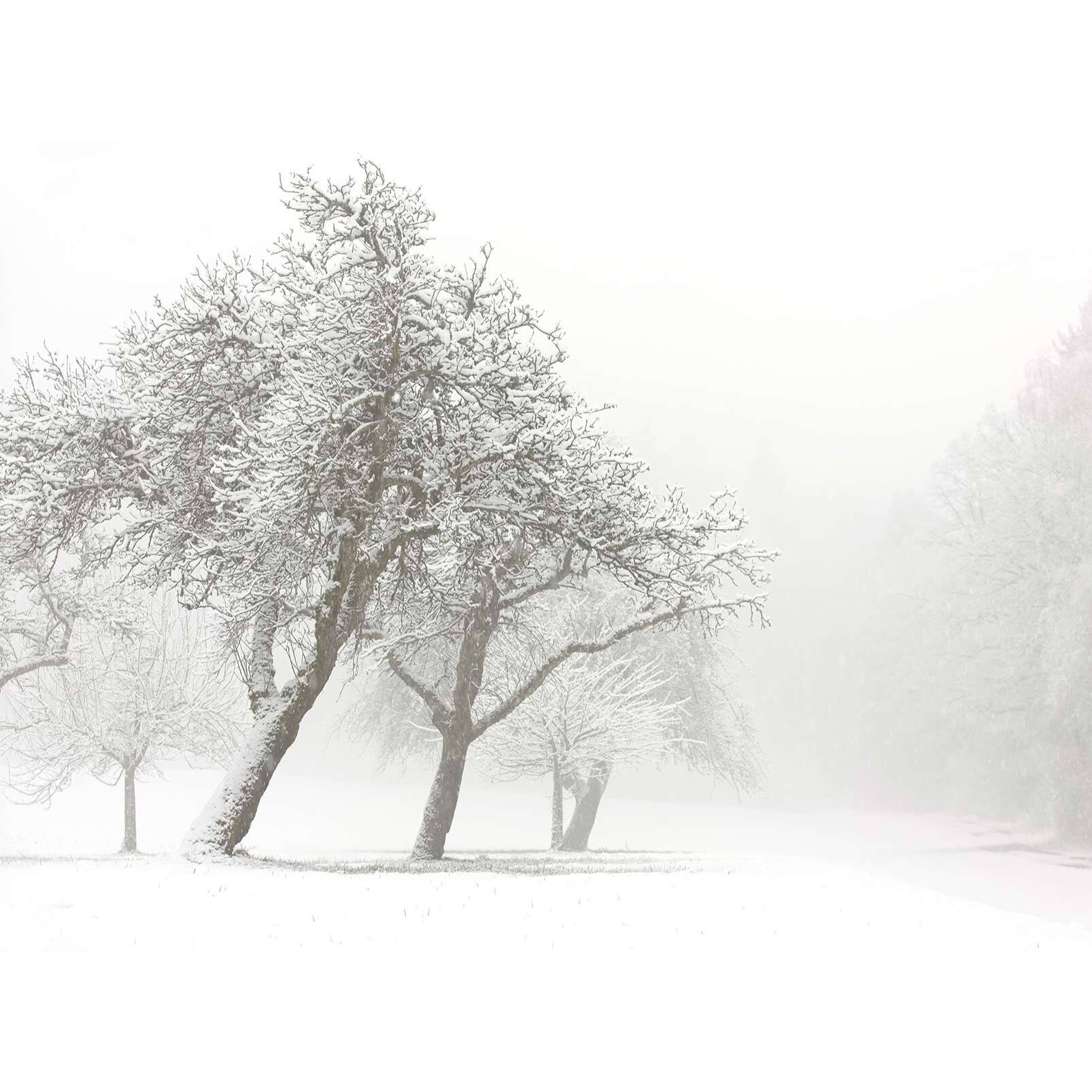 Papier peint panoramique L'hiver arrive  Intissé