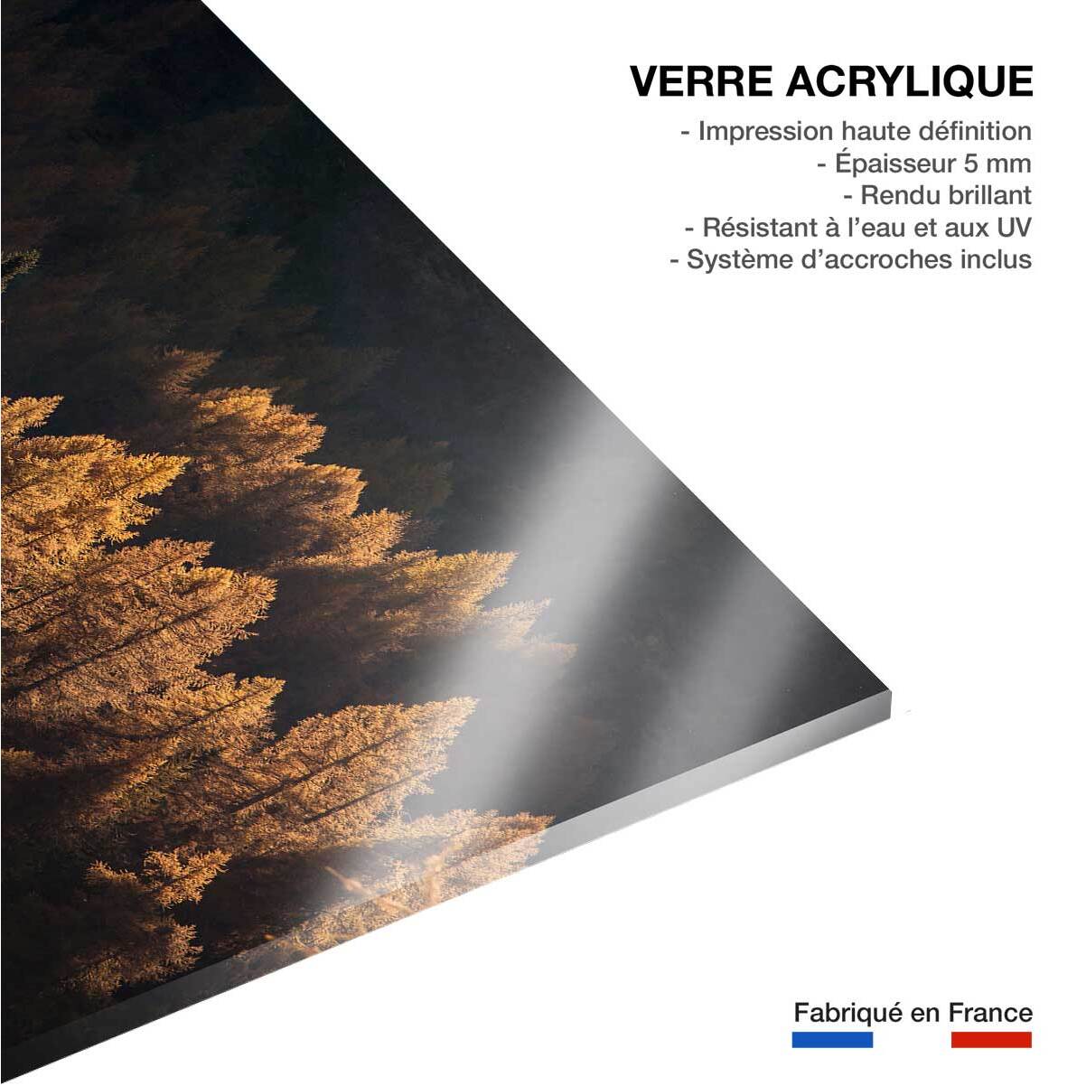 Tableau Mélèzes en automne Tableau plexiglas