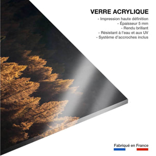 Tableau Mélèzes en automne Tableau plexiglas