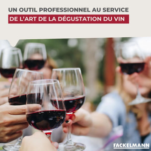 Lot de 2 becs verseurs anti-goutte pour bouteilles Fackelmann Bar Concept
