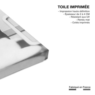 Tableau chanteur célèbre barbara en 1965 Toile imprimée