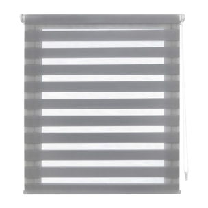 Store enrouleur Polyester Translucide Multicolore