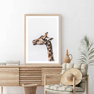 Affiche animaux prendre de la hauteur Affiche + cadre en bois - Chêne