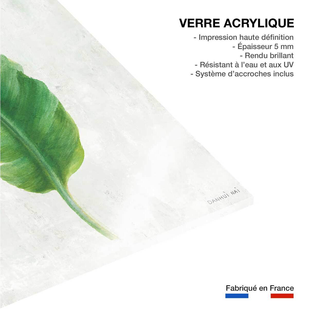 Tableau Feuille de bananier illustrée Tableau plexiglas
