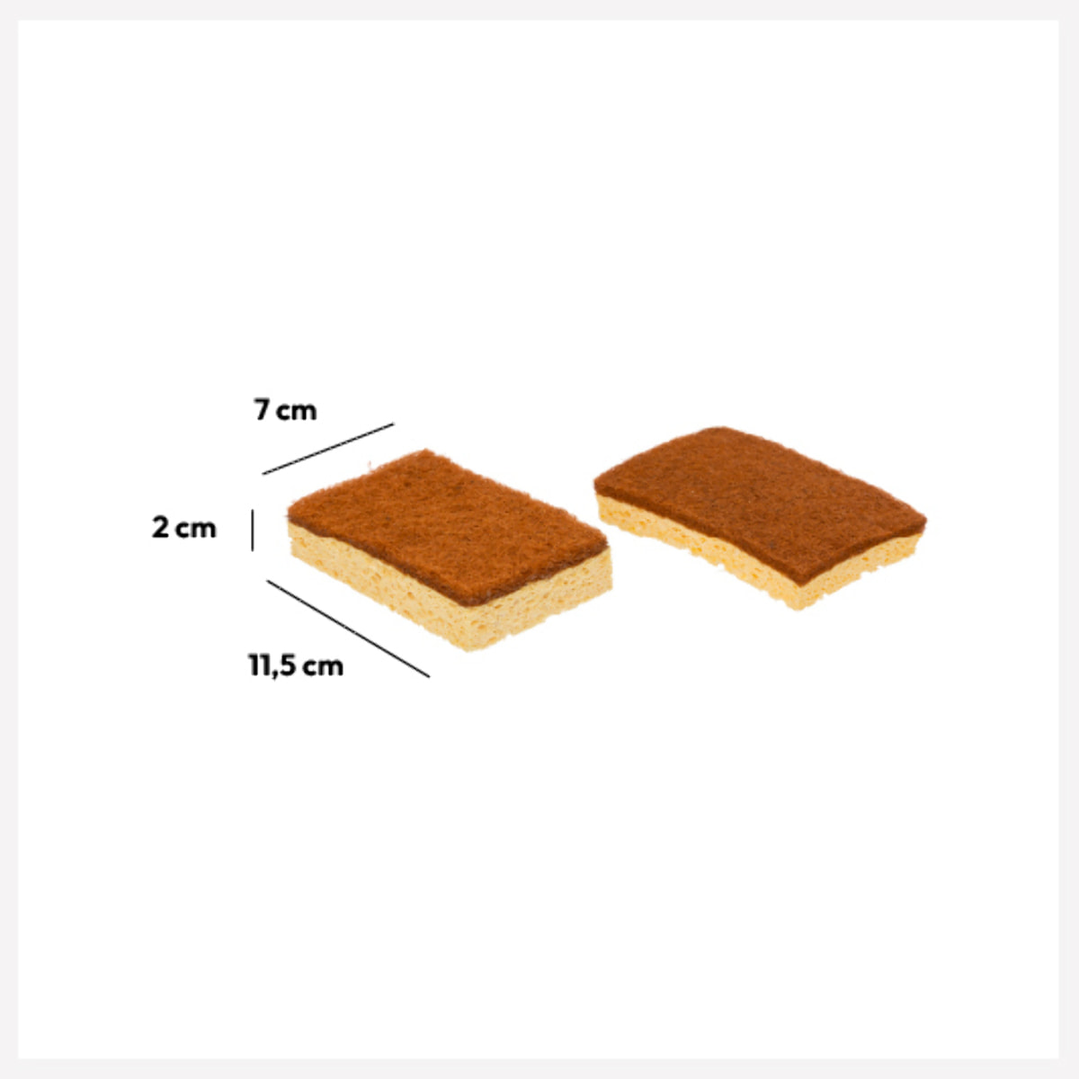 Lot de 2 éponges en coco BlackWood