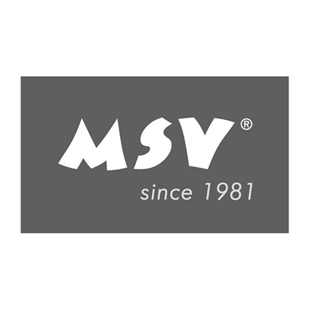 Lot de 5 lavettes microfibre Multicolor MSV