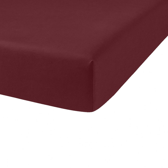Drap Housse Coton 57fils Uni - Bonnet 35cm Grenat
