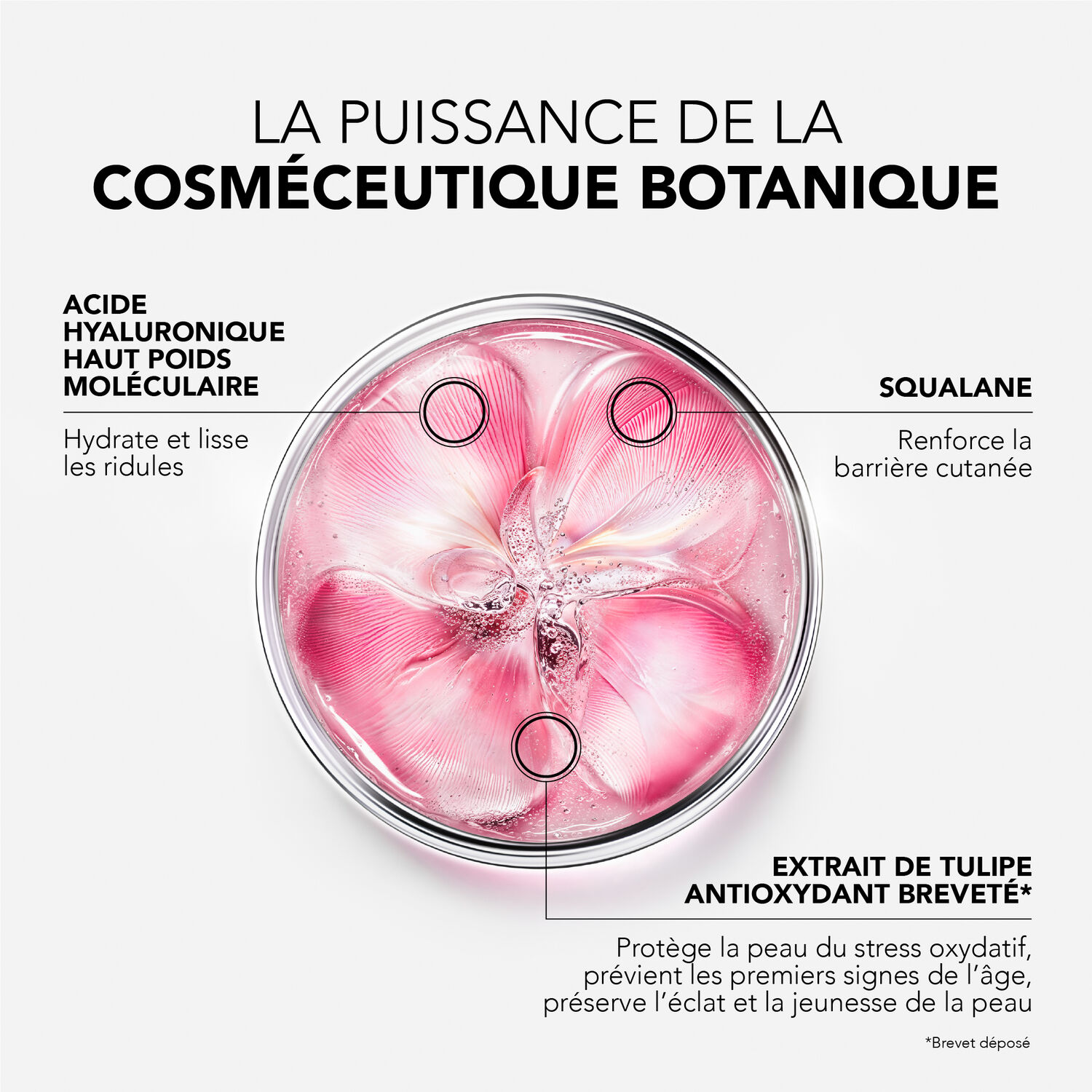 Glow Fresh - La Crème Repulpante Éclat