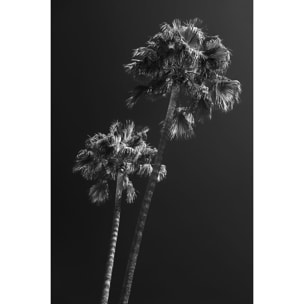 Tableau noir et blanc Ambiance Californie Tableau alu Dibond
