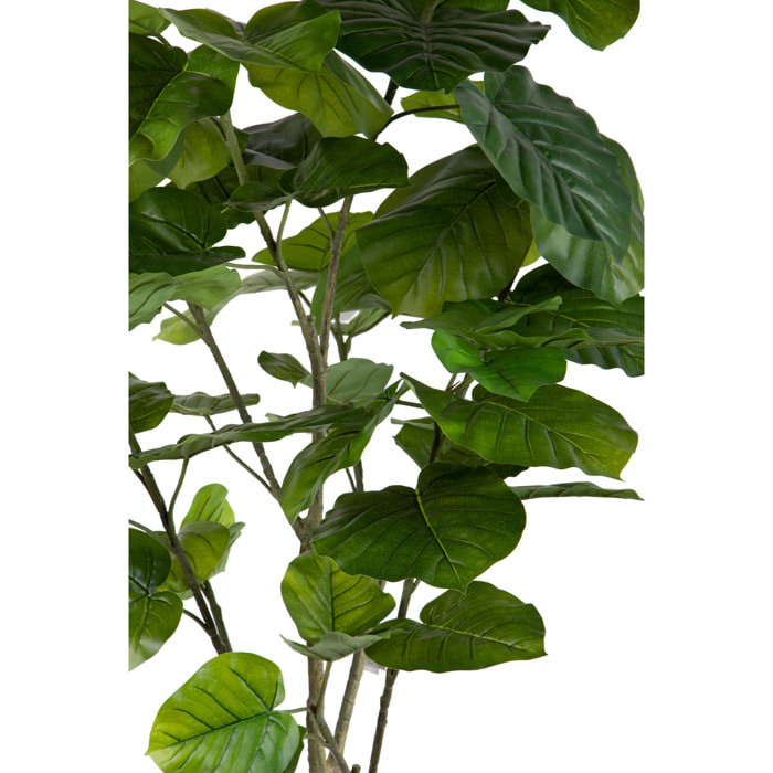 Pianta Di Ficus Real Touch Con 64 Foglie In Vaso. Altezza 200 Cm - Pezzi 1 - 100X200X80cm - Colore: Verde - Bianchi Dino - Piante Artificiali