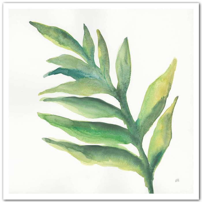 Affiche Plante aloe watercolor Affiche seule