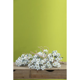 Stella alpina - Pezzi 12 - 14xH25,5x14cm - Bianchi Dino SpA