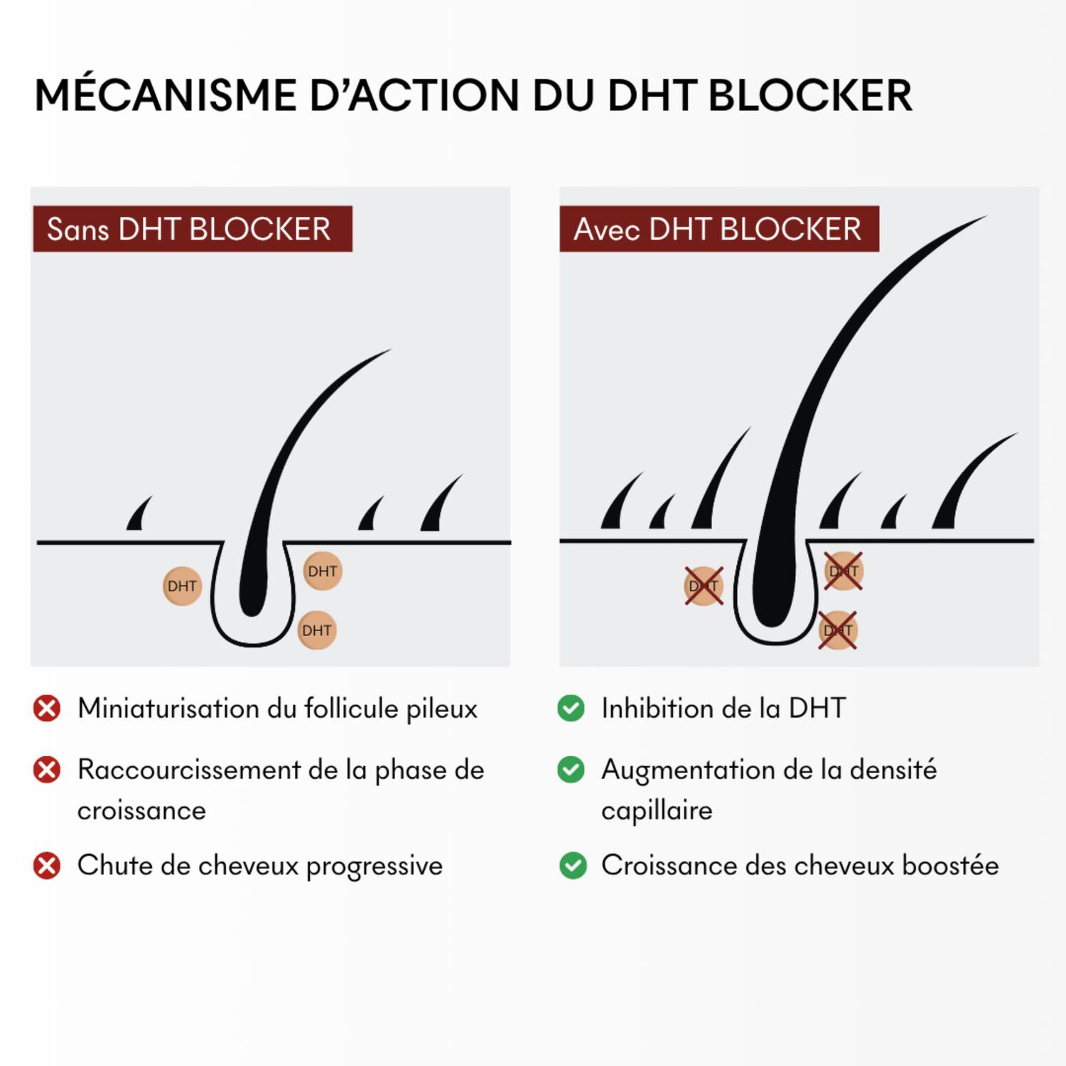 DHT Blocker - Complement Alimentaire Anti-Chute Hormonale 3 Mois