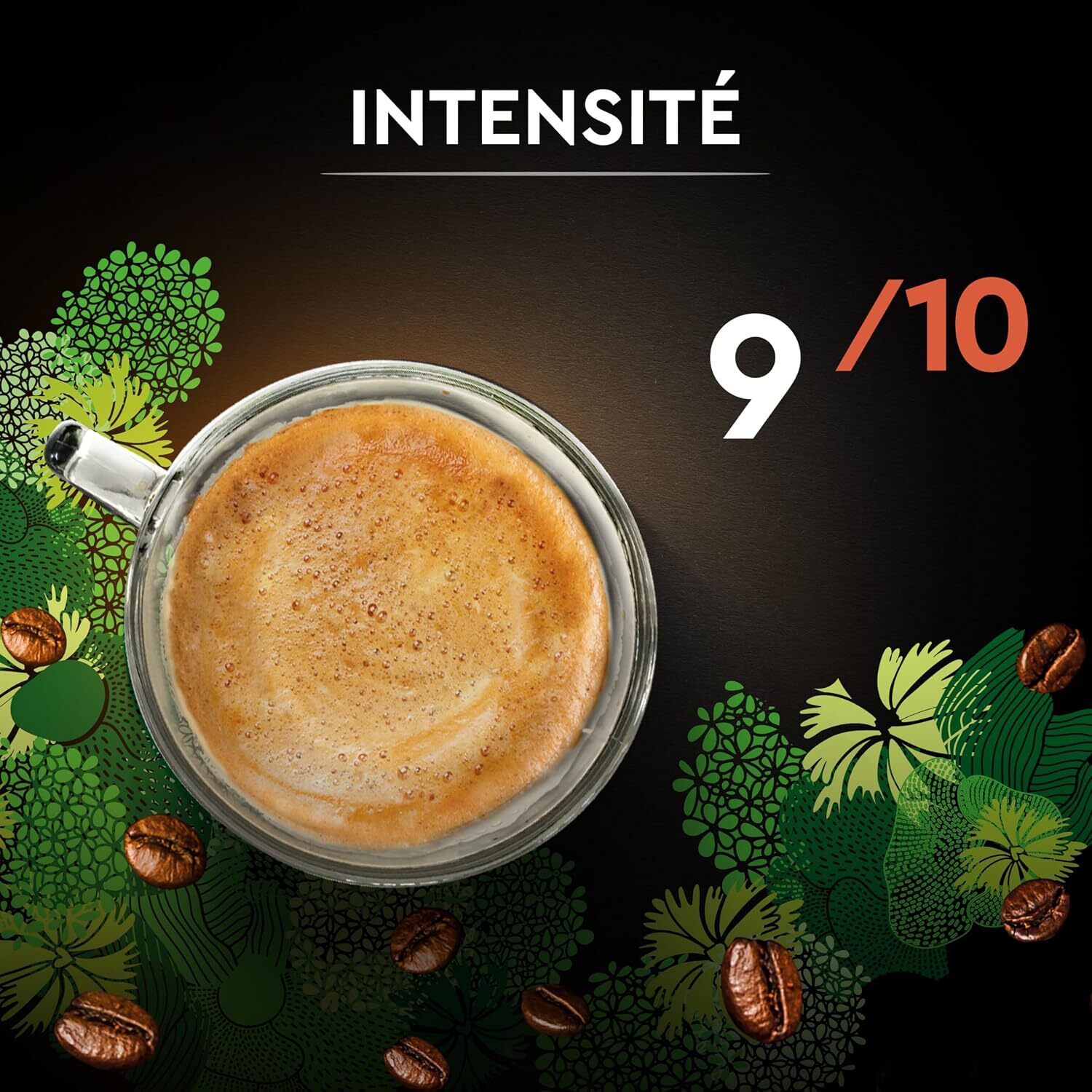 Café Grains Bio Intense - Pur Arabica Biologique. Paquet de 1 kg