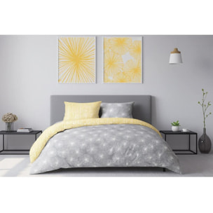Parure Housse De Couette 3pcs 100% coton 57fils Flight