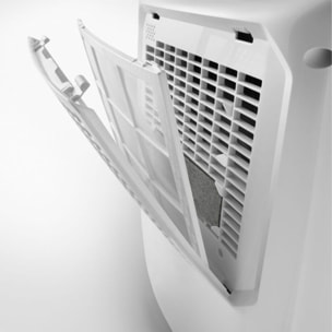 Deshumidificateur DELONGHI DEX210SF