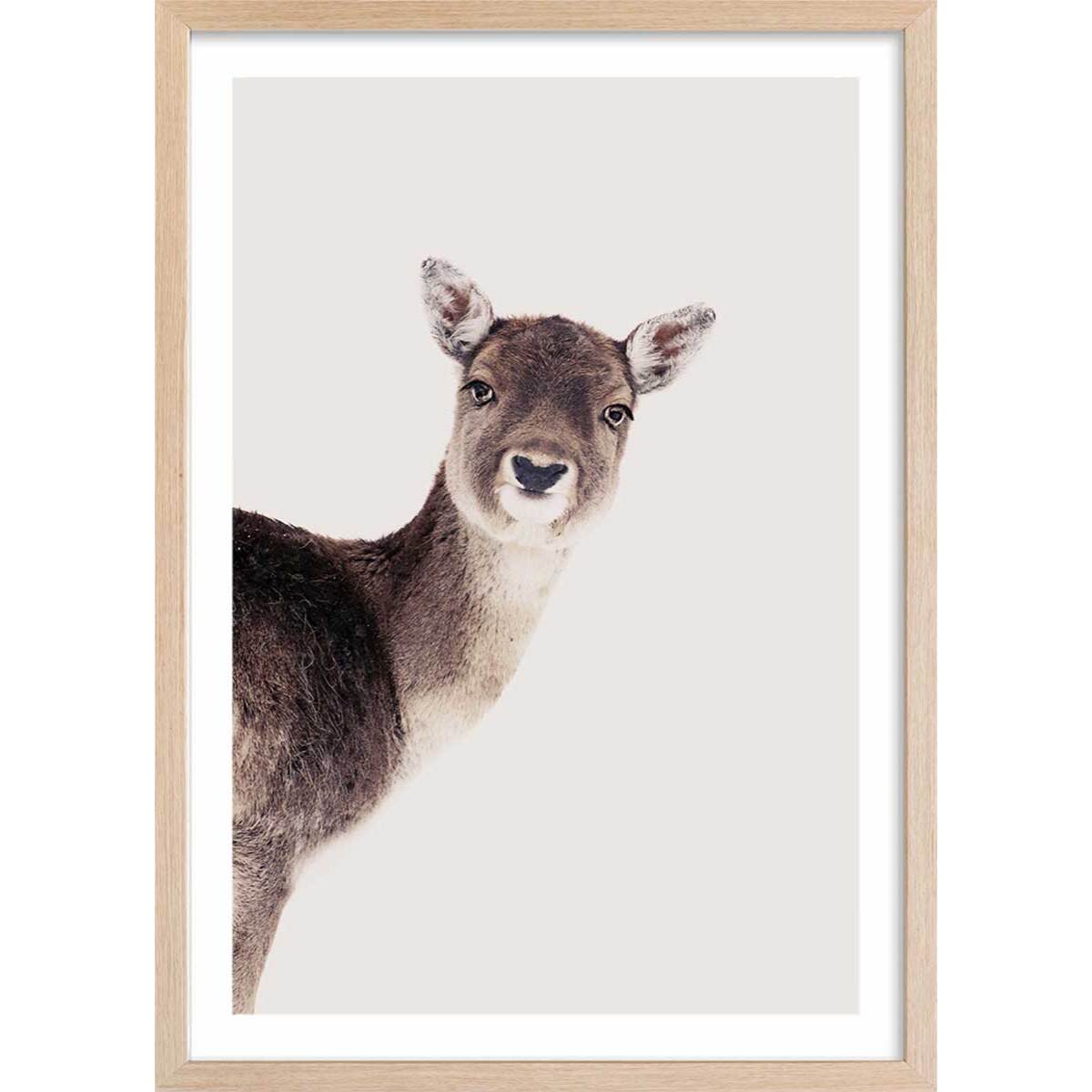Affiche enfant biche  Affiche + cadre en bois - Chêne