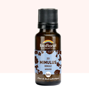 Biofloral - 20 Mimulus, Mimule - Bio - 19,5 gr