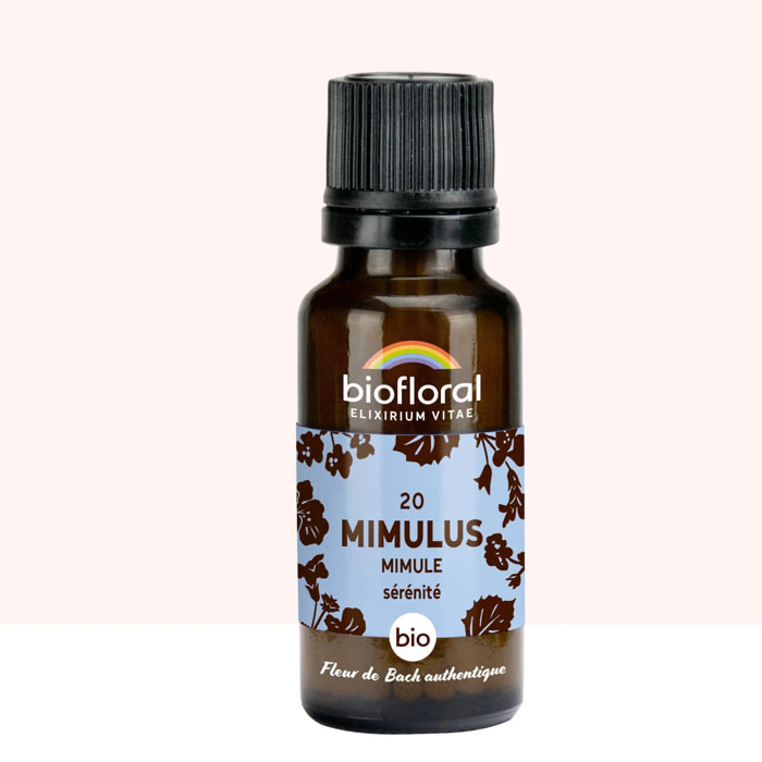 Biofloral - 20 Mimulus, Mimule - Bio - 19,5 gr