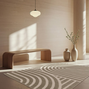 Tapis intérieur motif graphique taupe  ENZO
