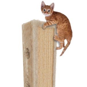 Albero per Gatto con Graffiatoio Cuccia Giocattolo Gatti Parco Giochi Tiragraffi in Sisal Naturale 80 x 45 x 45 cm Colore Beige Dixie