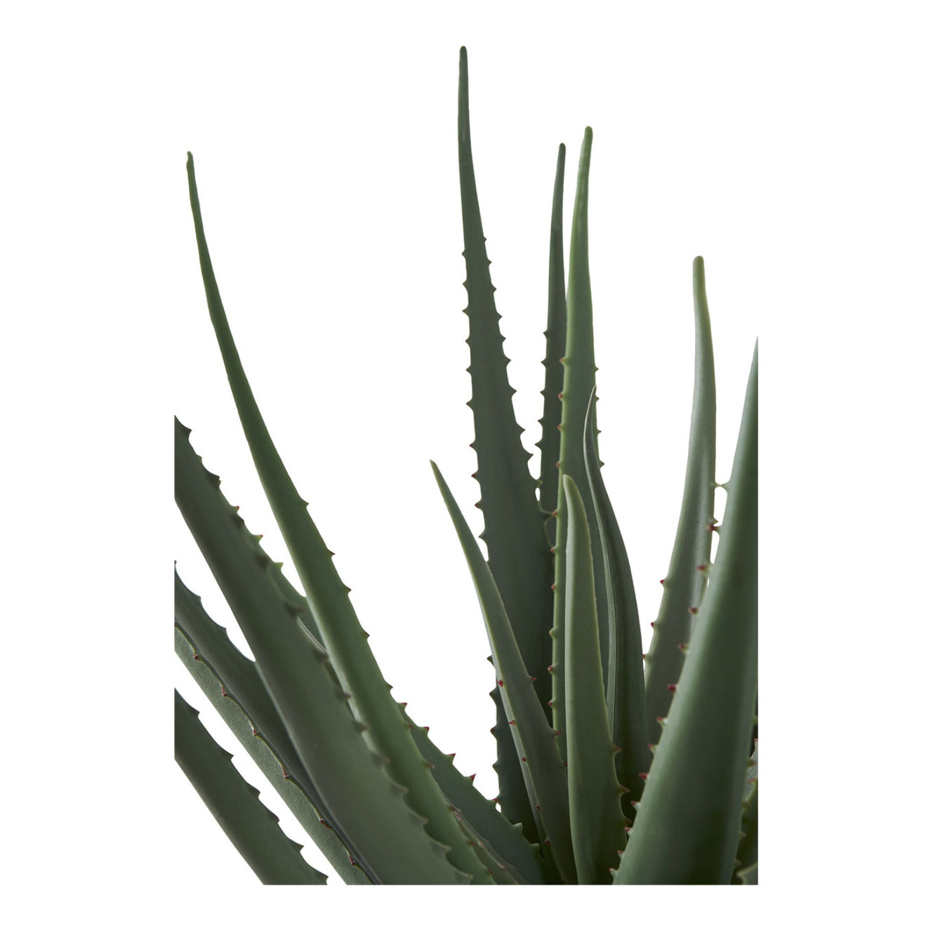 Pianta artificiale Aloe Vera in vaso nero H51 cm