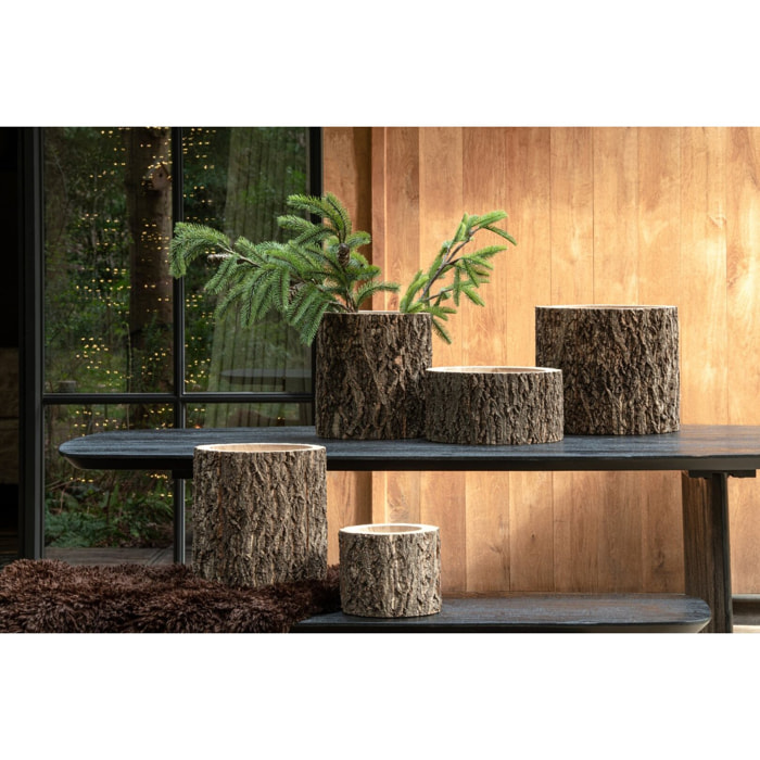 J-Line Cachepot Tronc D’Arbre - bois de paulownia - naturel - medium