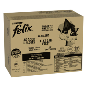 FELIX Tendres Effilés en Gelée - Sélection Mixte - 120x85g