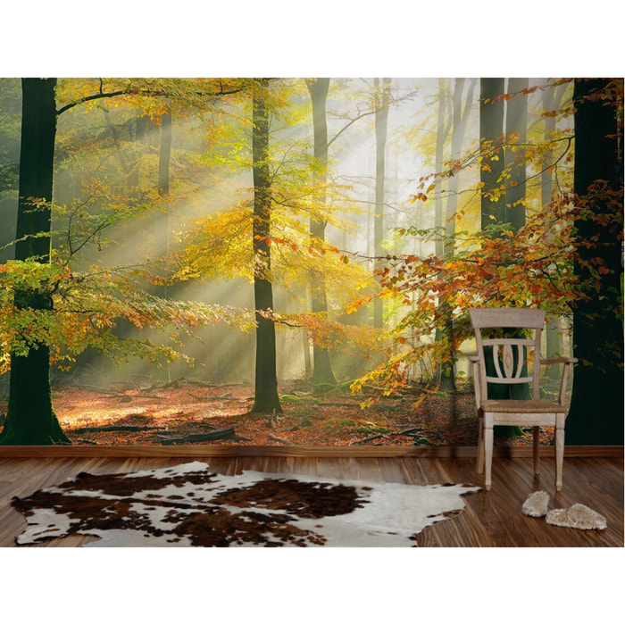 Papier-peint panoramique Forest - Vert