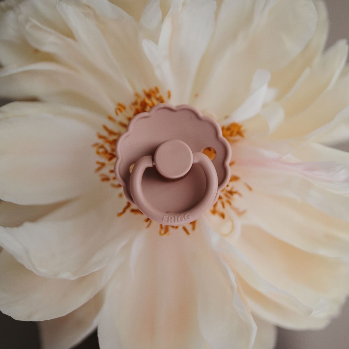 Frigg Pack 2 Chupetes Block Latex Daisy