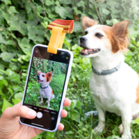 Clip per selfie per animali domestici pefie innovagoods - arancione - 1,9x5x1,8 cm